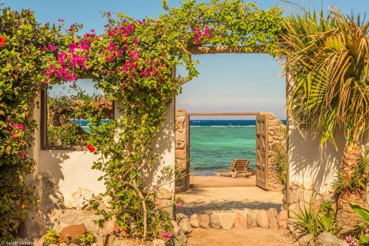 Beit Theresa Dahab Exterior foto
